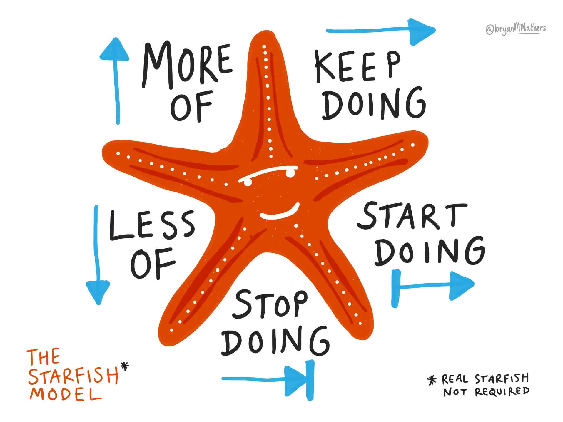 the-starfish-model.png